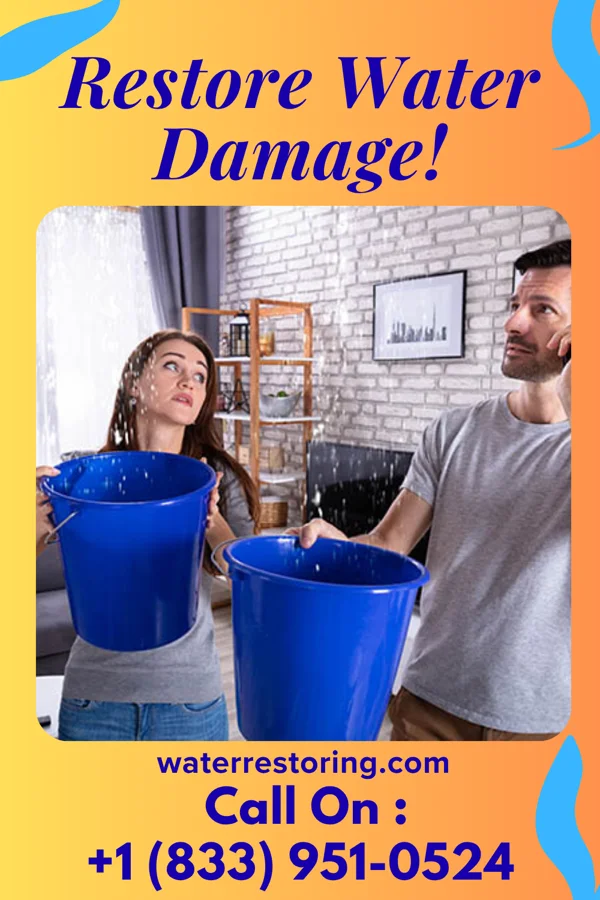 water restoration Capital Disaster Cleanup Experts Edgewood
